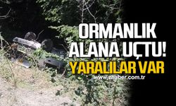 Ormanlık alana uçan otomobildeki 3 kişi yaralandı