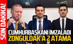Cumhurbaşkanı kararnameyi imzaladı: Vali yardımcısı ve Kaymakam atandı