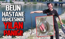 BEUN hastane bahçesinde yılan paniği