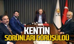 Milletvekilleri Şahin ve Keskinkılıç, Cumhurbaşkanı Erdoğan ile sorunları görüştü