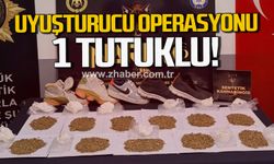 Karabük'te uyuşturucu operasyonu: 1 tutuklama
