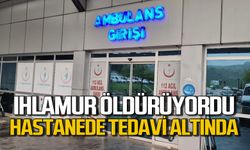 Ihlamur öldürüyordu: Ağır yaralandıhastanede tedavi altında