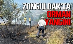 Ormana sıçrayan yangın büyük zarar verdi: Ekipler ve vatandaşlar seferber oldu