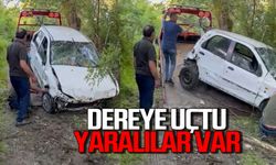 Direksiyon hakimiyetini kaybetti araç dereye uçtu: Çok sayıda yaralı var