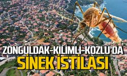 Zonguldak ve ilçeleri sinek istilasında: Vatandaşlar daha çok ilaçlama istiyor