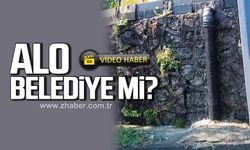 Alo Belediye mi?