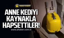 Anne kediyi kaynakla hapsettiler