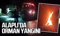 Zonguldak'ın Alaplı İlçesi'nde orman yangını