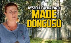 Madde Döngüsü