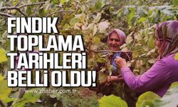 Alaplı’da fındık hasat takvimi açıklandı