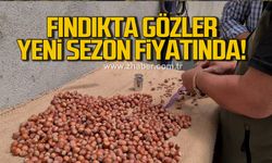 Fındıkta gözler yeni sezon fiyatında