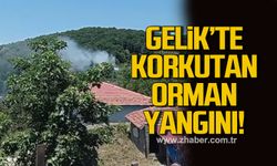 Gelik Ayici mahallesi’nde orman yangını