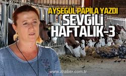 Sevgili haftalık 3