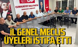Zonguldak İl Genel Meclis üyeleri istifa etti