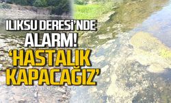 Ilıksu Deresi'nde alarm "Hastalık kapacağız”
