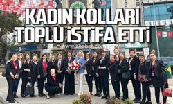 CHP Zonguldak Kadın Kolları toplu istifa etti