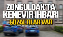 Zonguldak'ta kenevir ihbarı. Gözaltılar var.
