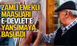 Emekliler dikkat! zamlı emekli maaşları e-Devlet'e yansımaya başladı