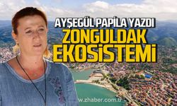 Zonguldak ekosistemi