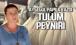 Tulum peyniri