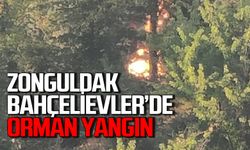 Zonguldak Bahçelievler'de çıkan yangın panik yaşattı itfaiye müdahale etti