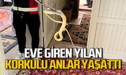 Eve giren yılan aileye korku dolu anlar yaşattı