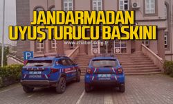 Alaplı’da uyuşturucu operasyonunda 7 kök kenevir ve esrar ele geçirildi