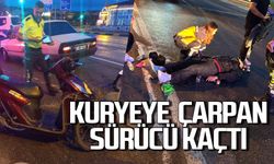 Otomobil kuryeye çarptı sürücü olay yerinden kaçtı