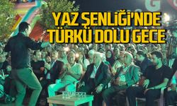 Gökçebey Yaz Şenliği'nde türkü dolu gece