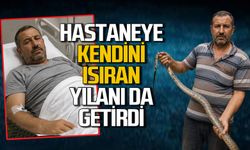 Kıvrak zeka: Kendini ısıran yılanı da yakalayıp hastaneye getirdi