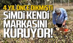 4 yıl önce dikmişti... Şimdi kendi markasını kuruyor