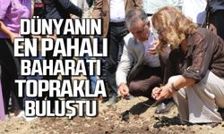 Dünyanın en pahalı bahatarı toprakla buluştu