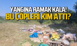 Zonguldak ormanlarında yangın tehlikesi... Çöplerin burada işi ne?