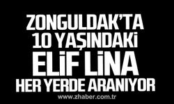 Zonguldak'ta 10 yaşındaki Elif Lina her yerde aranıyor.