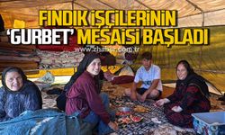 Fındık işçilerinin "Gurbet" mesaisi başladı