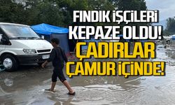 Fındık işçileri kepaze oldu... Çadırlar çamur içinde kaldıı