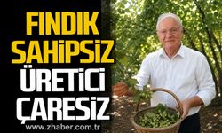 Yavuz Erkmen; "Fındık Sahipsiz, Üretici Çaresiz"