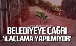 Vatandaşlardan Zonguldak Belediyesi'ne çağrı: "Sinek aracı yok mu?"