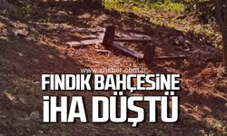 Düzce’de fındık bahçesine şüpheli bir cisim düştü