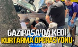 Gazipaşa Caddesi'nde kedi kurtarma operasyonu.