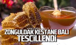 Zonguldak kestane balı coğrafi işaret aldı
