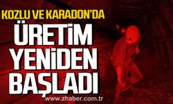 Kozlu ve Karadon'da üretim yeniden başladı.