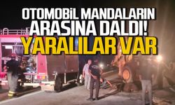 Otomobille mandaların arasına daldı... 1'i ağır 2 yaralı
