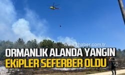 Karabük'te ormanlık alanda yangın. Ekipler seferber oldu.