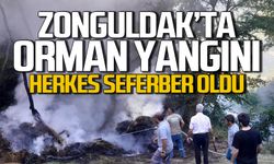 Zonguldak'ta iki ayrı noktada orman yangını