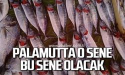 Zonguldaklı balıkçıların yeni sezon öncesi hazırlıklarını tamamladı