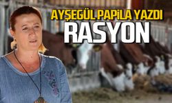Rasyon