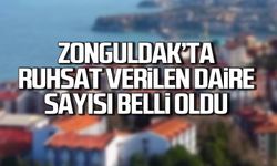 Zonguldak'ta ruhsat verilen daire sayısı belli oldu