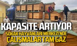 Kdz. Ereğli'de Sokak Hayvanları Merkezi'nde kapasite artıyor.