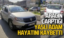 Otomobilin çarptığı yaşlı adam hayatını kaybetti